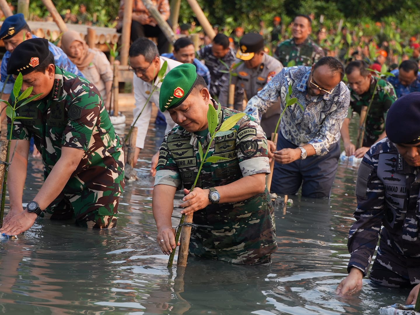 Kasad Dampingi Presiden Pada Acara Puncak Penanaman Mangrove Nasional